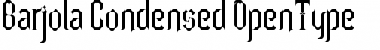 Download Barjola Font Download Barjola Font