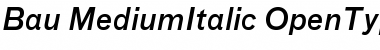 Download Bau-MediumItalic Font Download Bau-MediumItalic Font