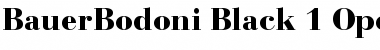 Download BauerBodoni Font Download BauerBodoni Font