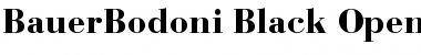 Download Bauer Bodoni Font Download Bauer Bodoni Font