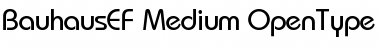 Download BauhausEF-Medium Font Download BauhausEF-Medium Font