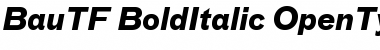 Download BauTF-BoldItalic Font Download BauTF-BoldItalic Font