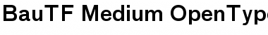 Download BauTF-Medium Font Download BauTF-Medium Font