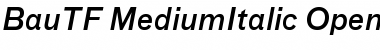 Download BauTF-MediumItalic Font Download BauTF-MediumItalic Font