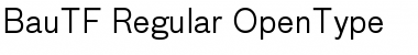 Download BauTF-Regular Font Download BauTF-Regular Font