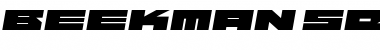 Download Beekman-SquareBoldItalic Font Download Beekman-SquareBoldItalic Font