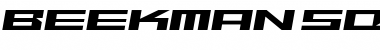 Download Beekman-SquareLightItalic Font Download Beekman-SquareLightItalic Font