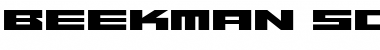 Download Beekman-SquareRegular Font Download Beekman-SquareRegular Font