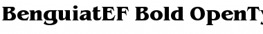 Download BenguiatEF-Bold Font Download BenguiatEF-Bold Font