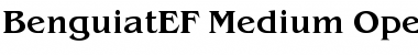 Download BenguiatEF-Medium Font Download BenguiatEF-Medium Font