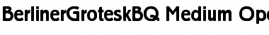 Download BerlinerGroteskBQ Font Download BerlinerGroteskBQ Font