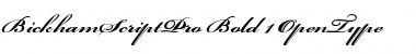 Download Bickham Script Pro Font Download Bickham Script Pro Font