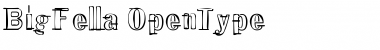 Download BigFella Font Download BigFella Font