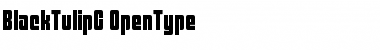 Download BlackTulipC Font Download BlackTulipC Font
