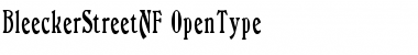 Download Bleecker Street NF Font Download Bleecker Street NF Font