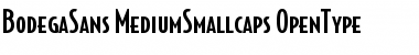 Download BodegaSans-MediumSmallcaps Font Download BodegaSans-MediumSmallcaps Font