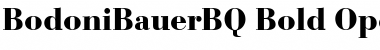Download Bodoni Bauer BQ Font Download Bodoni Bauer BQ Font
