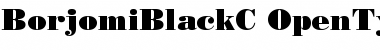 Download BorjomiBlackC Font Download BorjomiBlackC Font