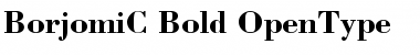 Download BorjomiC Font Download BorjomiC Font