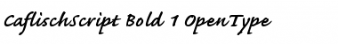 Download Caflisch Script Font Download Caflisch Script Font