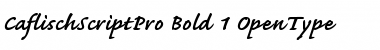 Download Caflisch Script Pro Font Download Caflisch Script Pro Font