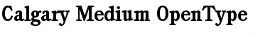 Download Calgary-Medium Font Download Calgary-Medium Font