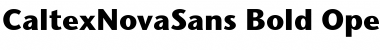 Download CaltexNovaSans Font Download CaltexNovaSans Font