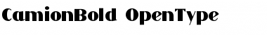 Download CamionBold Font Download CamionBold Font