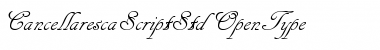 Download Cancellaresca Script Std Font Download Cancellaresca Script Std Font