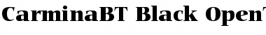 Download Bitstream Carmina Font Download Bitstream Carmina Font