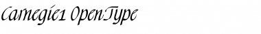 Download Carnegie1 Font Download Carnegie1 Font