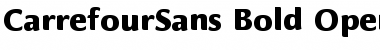 Download CarrefourSans Font Download CarrefourSans Font