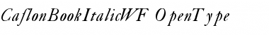 Download CaslonBookItalicWF Font Download CaslonBookItalicWF Font