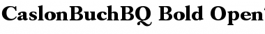 Download Caslon Buch BQ Font Download Caslon Buch BQ Font
