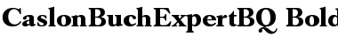 Download Caslon Buch Expert BQ Font Download Caslon Buch Expert BQ Font