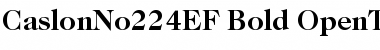 Download CaslonNo224EF-Bold Font Download CaslonNo224EF-Bold Font