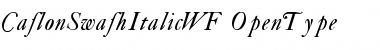 Download CaslonSwashItalicWF Font Download CaslonSwashItalicWF Font