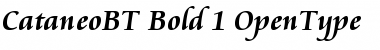 Download Cataneo Font Download Cataneo Font