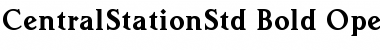 Download Central Station Std Font Download Central Station Std Font