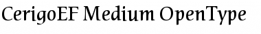 Download CerigoEF Font Download CerigoEF Font