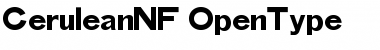 Download Cerulean NF Font Download Cerulean NF Font