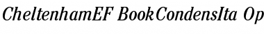 Download CheltenhamEF-BookCondensIta Font Download CheltenhamEF-BookCondensIta Font