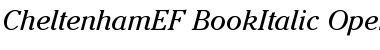 Download CheltenhamEF-BookItalic Font Download CheltenhamEF-BookItalic Font