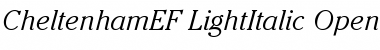 Download CheltenhamEF-LightItalic Font Download CheltenhamEF-LightItalic Font