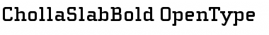 Download ChollaSlab Font Download ChollaSlab Font