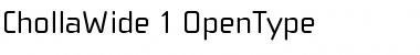 Download ChollaWide Font Download ChollaWide Font