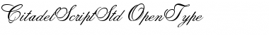 Download Citadel Script Std Font Download Citadel Script Std Font