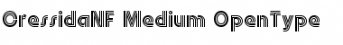 Download CressidaNF Font Download CressidaNF Font
