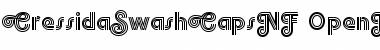 Download CressidaSwashCapsNF Font Download CressidaSwashCapsNF Font