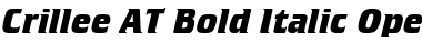 Download Crillee AT Bold Italic Font Download Crillee AT Bold Italic Font